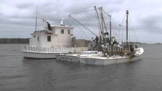 The Delvin K working on the Great Wicomico River [upl. by Diehl]