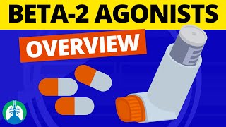 Beta2 Adrenergic Agonists Medications OVERVIEW  Bronchodilators [upl. by Griswold]