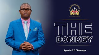 The Donkey  Apostle TF Chiwenga  Prayer Retreat  Day 3  31 August 2024  Third Segment [upl. by Traweek]