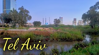 Walking in Yarkon Park at sunset  Virtual walk in Tel Aviv [upl. by Nottage]