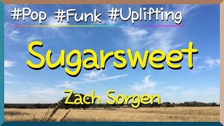 Lyrics Sugarsweet  Zach Sorgen  I’m on the road it’s my timeTaking control of my life [upl. by Ahsino]