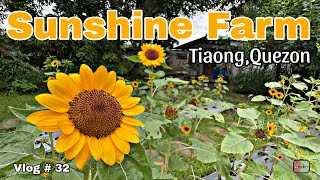 Vlog 32 Sunshine Farm  Tiaong Quezon [upl. by Higginbotham]