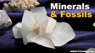 Minerals Fossils EuroMineralExpo 2018 Turin International Exhibition Minerali e Fossili 2 [upl. by Bobinette]