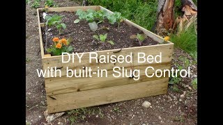 DIY Raised bed garden with builtin slug control [upl. by Funda]