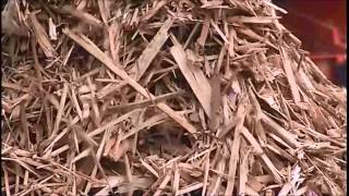 Spaleck Screening Materialssoil wood waste [upl. by Ahsenet]