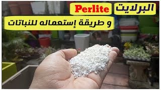 ما هوالبرلايت perlite ، البرليت بيئة زراعية مثل البتموس و الفرمكلايت [upl. by Florry]