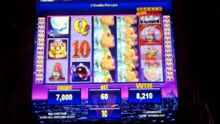 Enchanted World Slot Bonus amp Line Hit  Ainsworth [upl. by Russon366]