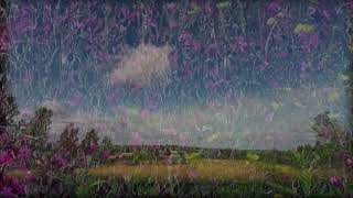 Wonderfull meadow birds cloud [upl. by Erreipnaej281]