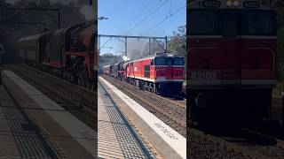 Diesel locomotive 42103 and Steam Locomotive R766 Cowan August 2024 [upl. by Zinck]