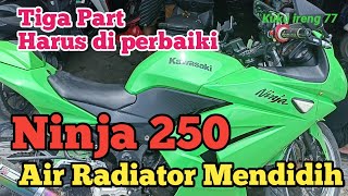 Ninja 250 Air Radiator Mendidih 3 part yg harus di perbaikininja250 [upl. by Nurav548]