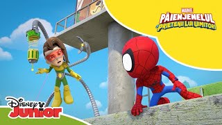 🔍 Octolaserul  Păienjenelul Marvel și prietenii lui uimitori  Disney Junior România [upl. by Odelle]