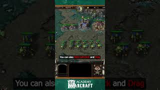 Warcraft 3 Reforged  Archers vs Crypt fiends Who is stronger warcraft shorts reforged [upl. by Deer292]