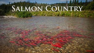 Alaska Salmon Country  Sockeye City [upl. by Dewey]