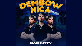 Bad Kitty  AmorOdio trap dembow [upl. by Neerroc]