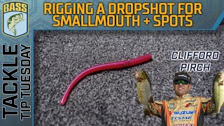 Effectively rig your DROP SHOT for Smallmouth and Spotted Bass [upl. by Guillaume776]