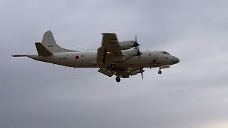 海上自衛隊 P3Cランディング4連発 厚木基地 2015年2月7日 [upl. by Iral]