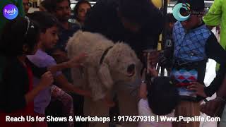 Pupalifes All India Storytelling Campaign at Marina Mall Ventriloquism [upl. by Ahseekan]