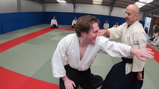 AIKIDO DUBLIN IRELAND 2022  music Lorn quotRipleyquot [upl. by Oirram]