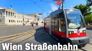 Wien Strassenbahn June 2024  Vienna Tram 2024 [upl. by Ashly]