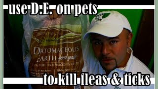 How to Apply Diatomaceous Earth on your Pets [upl. by Eberta]