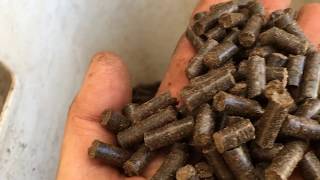 How to make heating pellets from coffee by Tas Energy and Heating [upl. by Zashin]