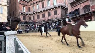 The Palio horse race First day of practice trials 26th June 2024 Piazza del Campo Siena [upl. by Keldah754]