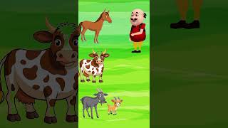 cartoon tuntunicartoon funny animatedcartoon comedy 2024shorts [upl. by Wilow]