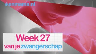 27 weken zwanger  ikenmamanl [upl. by Wohlert]