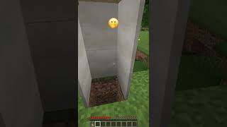 Why All These Villagers Went Crazy shorts meme minecraft [upl. by Diaz]