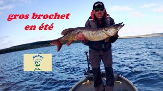 gros brochet en été [upl. by Bohon]