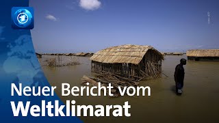 Klimawandel Neuer Bericht zeigt Gefahr für die Menschheit [upl. by Ronnoc353]