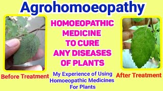 Agrohomoeopathy  Homoeopathic Medicine for Plants for Infectious Disease Insect attack [upl. by Petras]