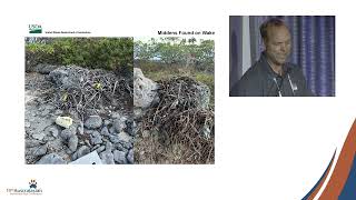 Tyler Bogardus  Wake Atoll Rat Eradication Project [upl. by Nwahsyt]