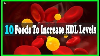 10 Foods To Increase Your HDL Good Cholesterol Levels  Best Home Remedies [upl. by Otirecul]