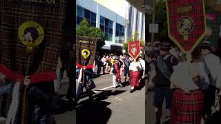 Tartan Day Townsville 2024 [upl. by Ahseekan]