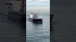 Marine traffic  ship trafiic area  subscribe my chanel if u like more video ♥️🚢 [upl. by Larry]