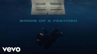 Billie Eilish  BIRDS OF A FEATHER Official Lyric Video [upl. by Akitnahs28]