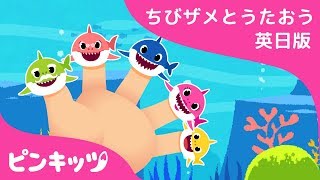 ゆびあそび サメのかぞく  サメのかぞく  英語の歌  Sing Along with Baby Shark  ピンキッツ 童謡と子どもの動画 [upl. by Lock786]