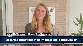 Los desafíos climáticos y su impacto en la producción [upl. by Parnell]