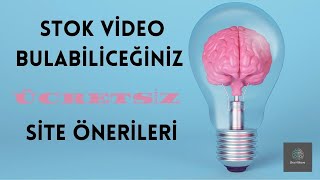 En İyi Stok Video Siteleri Ücretsiz ve Kaliteli Görüntüler [upl. by Marte]