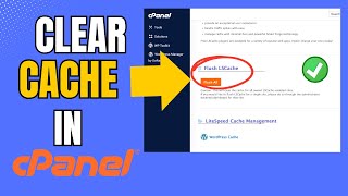 How To Clear Cache in Cpanel [upl. by Rozanna1]