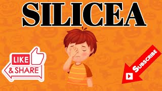 SILICEA HOMOEOPATHIC MEDICINEDRUG PICTURE [upl. by Hairakcaz931]