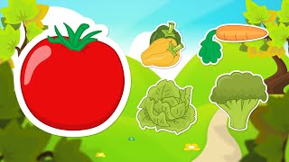 Learn Vegetables in Arabic for Kids  تعليم أسماء الخضروات للاطفال باللغة العربية [upl. by Laureen]