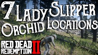 Red Dead Redemption 2  7 Lady Slipper Orchid Locations Duchesses and Other Animals Exotics  RDR2 [upl. by Yoong]