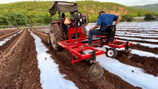 COMO INSTALAMOS EL ACOLCHADO AGRÍCOLA  AgroSin [upl. by Clyve]