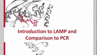 LoopMediated Isothermal Amplification LAMP Assay Development Challenges and Solutions [upl. by Lemay684]