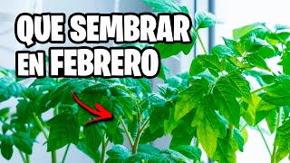 Que sembrar en FEBRERO 🌱 Calendario de Siembra 2023  La Huerta de Ivan [upl. by Teryl682]