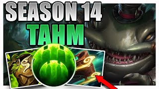 How a Tahm Kench Main Became Rank 1 in Korea [upl. by Terese]