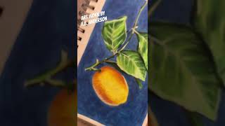 Lemon Prismacolor pencils over marker prismacolor prismacolorpencils art artwork [upl. by Eimaral]