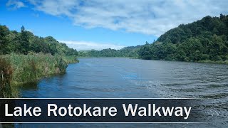 Lake Rotokare Walkway Taranaki New Zealand  4K [upl. by Ahsinroc120]